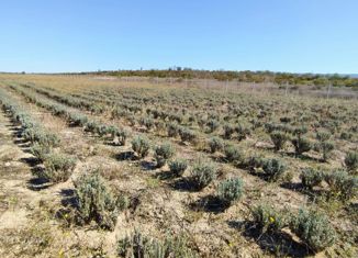 Продам земельный участок, 111 сот., Верхореченское сельское поселение