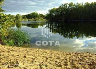 Дом на продажу, 51.8 м2, село Берёзовка, Комсомольская улица