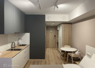 Продажа квартиры студии, 23 м2, Санкт-Петербург, Заозёрная улица, 1Д, метро Фрунзенская