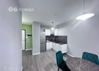 Сдача в аренду 1-комнатной квартиры, 31 м2, Ленинградская область, Тихая улица, 3к1