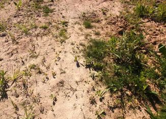 Участок на продажу, 12 сот., село Стригино, Третья улица, 11