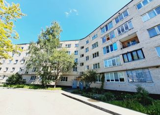 2-комнатная квартира на продажу, 48 м2, Никольское, Школьная улица, 18