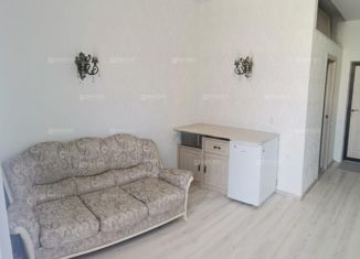 Продается квартира студия, 21 м2, село Весёлое, Короткий переулок, 7