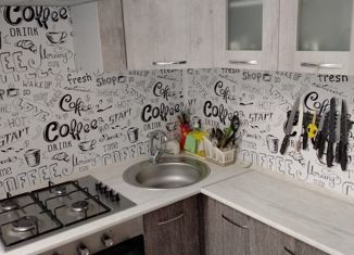 Продаю двухкомнатную квартиру, 47.5 м2, Омск, улица 10 лет Октября, 203В, Центральный округ