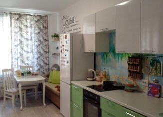 Продается 1-комнатная квартира, 40 м2, Санкт-Петербург, Октябрьская набережная, 34к4, метро Елизаровская