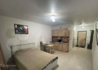 Квартира на продажу студия, 26.8 м2, Зеленодольск, проспект Строителей, 8