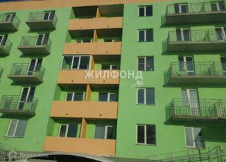 Продажа однокомнатной квартиры, 38 м2, Новосибирская область, Зелёная улица, 27