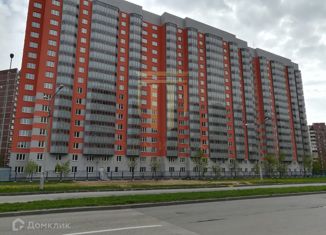 Продается 1-комнатная квартира, 33.6 м2, Санкт-Петербург, метро Озерки, Новоколомяжский проспект, 12к1