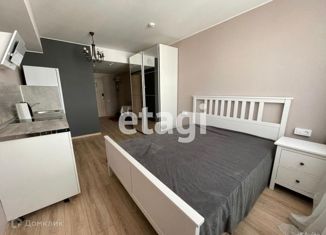 Квартира на продажу студия, 23.9 м2, Санкт-Петербург, Заозёрная улица, 1Д, Заозёрная улица