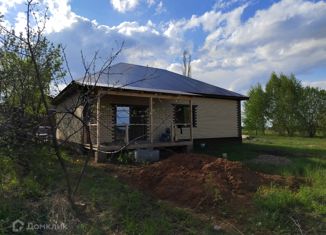 Продам дом, 125 м2, деревня Петрово-Федоровка, улица Климова