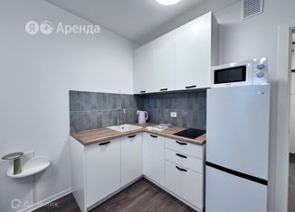 Сдается квартира студия, 22 м2, Санкт-Петербург, улица Морской Пехоты, 26к1, муниципальный округ Юго-Запад