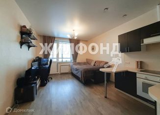 Продаю квартиру студию, 26.8 м2, рабочий посёлок Кольцово, Никольский проспект, 11