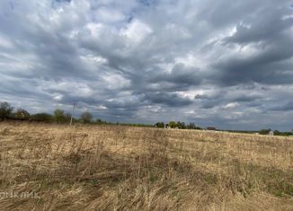 Продажа земельного участка, 45 сот., деревня Тиняково, улица имени Александра Гусева