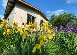 Продажа дома, 48 м2, НСТ Рыбник, Дорожная улица