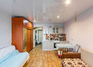 Продается квартира студия, 25.6 м2, Вологда, Окружное шоссе, 24А, микрорайон Южный