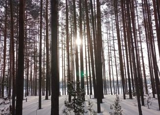 Продается земельный участок, 12.9 сот., деревня Рябеево, Береговая улица