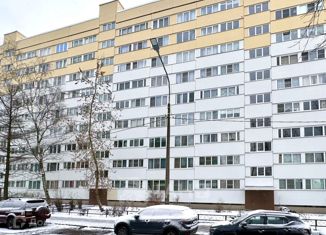 Продается однокомнатная квартира, 30.3 м2, Санкт-Петербург, улица Лётчика Пилютова, 5, улица Лётчика Пилютова