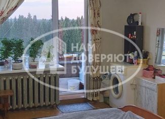 Продается 2-ком. квартира, 48 м2, Чусовой, улица Мира, 10