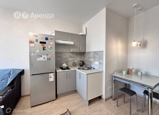 Квартира в аренду студия, 27 м2, Санкт-Петербург, Рыбацкий проспект, 18к2, ЖК Речной