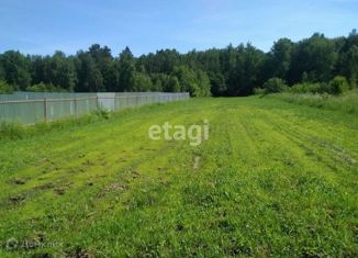 Продажа участка, 15 сот., деревня Малые Козлы, 29Н-379