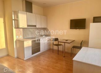 Продается квартира студия, 24.4 м2, деревня Кудрово, Пражская улица, 9