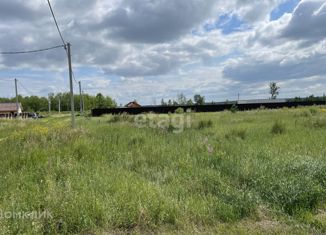 Земельный участок на продажу, 20 сот., деревня Молчанова, Береговая улица