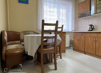 Однокомнатная квартира в аренду, 41 м2, Санкт-Петербург, Новоколомяжский проспект, 8/10, метро Удельная