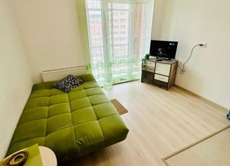 Сдам в аренду квартиру студию, 23 м2, Санкт-Петербург, Плесецкая улица, 2, ЖК Ариосто