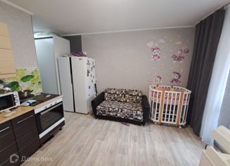 Продажа квартиры студии, 24.7 м2, Нижний Тагил, улица Булата Окуджавы, 7