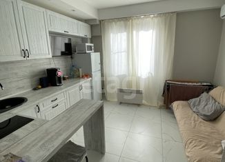 Продается квартира студия, 22 м2, село Русская Мамайка, Теневой переулок, 22/6