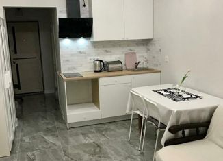 Продается квартира студия, 24 м2, Анапа, Владимирская улица, 142, ЖК Триумф