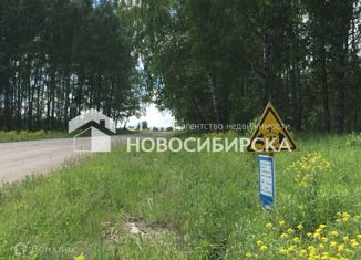 Земельный участок на продажу, 1600 сот., село Верх-Коён