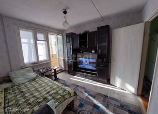 1-ком. квартира на продажу, 28 м2, деревня Климовское, деревня Климовское, 13