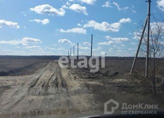 Продам земельный участок, 15 сот., деревня Есаулова, Весенняя улица