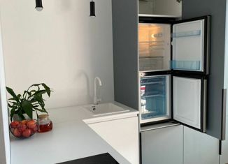 Продам квартиру студию, 25.9 м2, Санкт-Петербург, улица Александра Матросова, 3, ЖК Притяжение