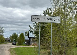Продается земельный участок, 20 сот., деревня Нижняя Лопсола