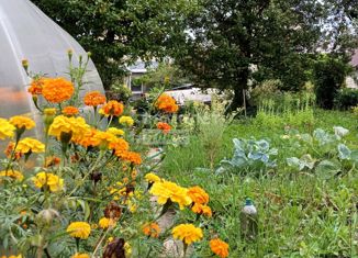 Продаю дом, 50 м2, сельский посёлок Бабино, СТ Энергетик-2, 11