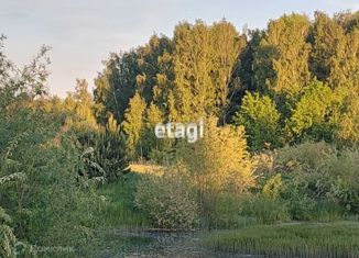 Продаю участок, 6 сот., село Кулига, Рябиновая улица