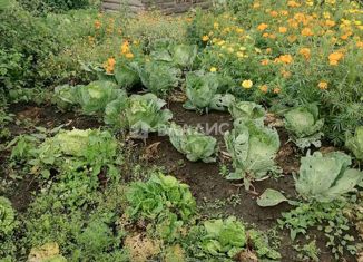 Продам дом, 20 м2, Тобольск, Заречный переулок