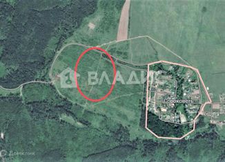 Продажа земельного участка, 445 сот., деревня Сороковеть