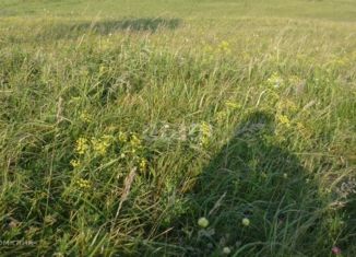 Участок на продажу, 804 сот., село Верх-Тула