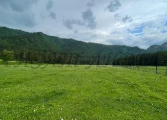 Участок на продажу, 1300 сот., село Чепош, улица Кучияк