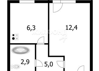1-комнатная квартира на продажу, 27.9 м2, Забайкальский край, 5-й микрорайон, 32А