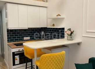 Квартира на продажу студия, 16.5 м2, Москва, аллея Первой Маёвки, 15с3, метро Рязанский проспект