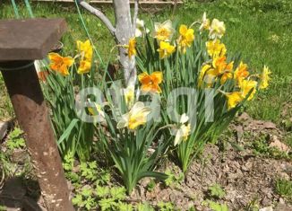 Продаю дом, 40 м2, село Тертеж, Заречная улица, 11