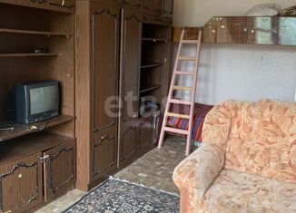 1-комнатная квартира на продажу, 33.1 м2, Тверская область, деревня Тетьково, 68