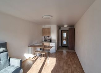 Квартира на продажу студия, 22.7 м2, Арсеньев, Калининская улица, 9