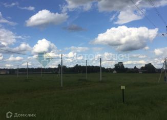 Продажа земельного участка, 12 сот., деревня Князчино