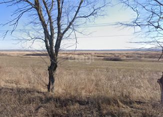 Продается участок, 6.1 сот., деревня Золотарево