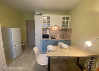 Сдача в аренду квартиры студии, 24.5 м2, Мурино, Екатерининская улица, 10, ЖК Три кита